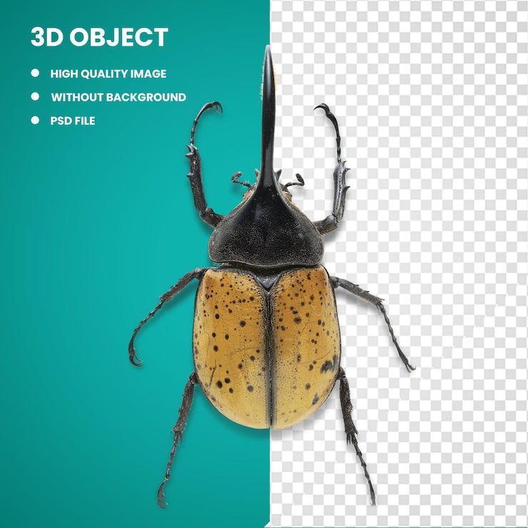 PSD 3d escarabajo hércules dynastes tityus escarabajo de estiércol escarabajo de ciervo