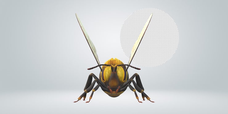 PSD abeja aislado sobre un fondo transparente