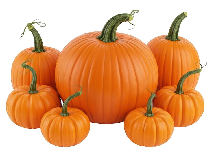 PSD colección de calabazas naranjas