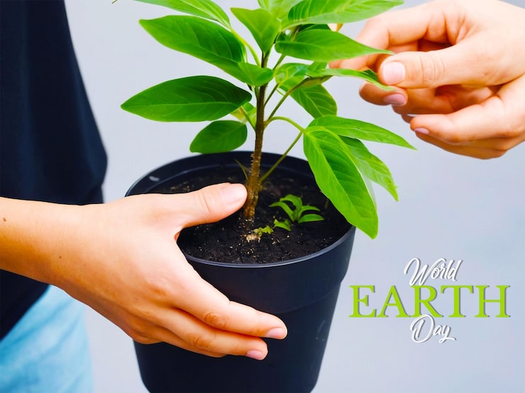PSD día mundial del medio ambiente con plantas que crecen en las manos