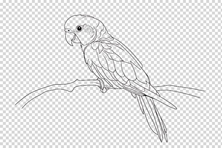 PSD elegante dibujo de un loro posado en una rama