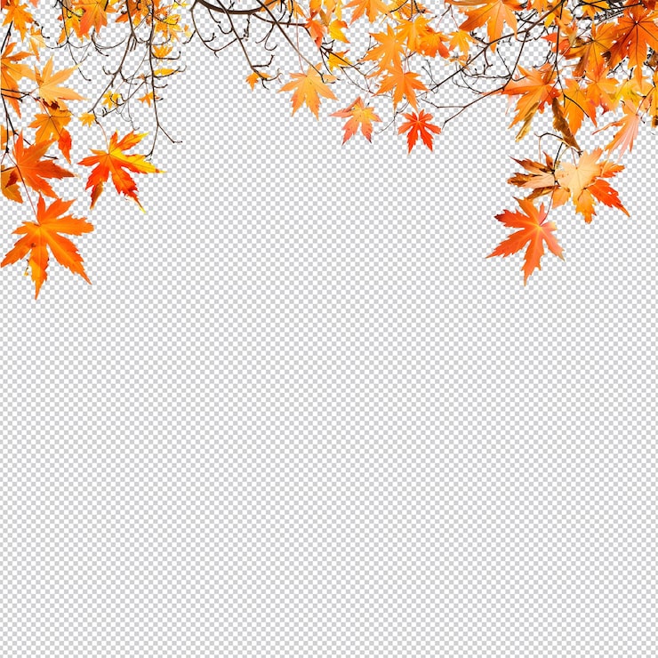 PSD feuilles d'automne sur un fond transparent