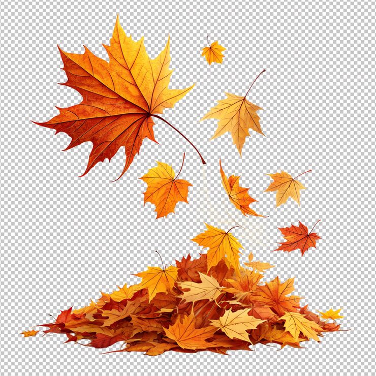 PSD des feuilles d'automne vibrantes sur un fond transparent