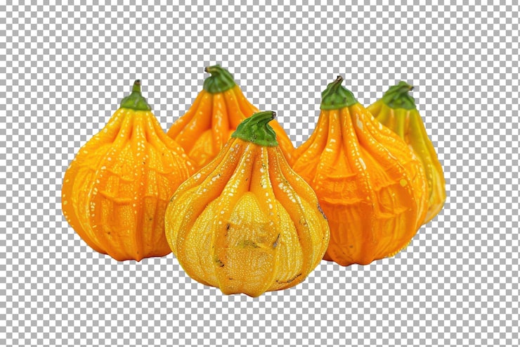 PSD la fruta de gokshura aislada sobre un fondo transparente