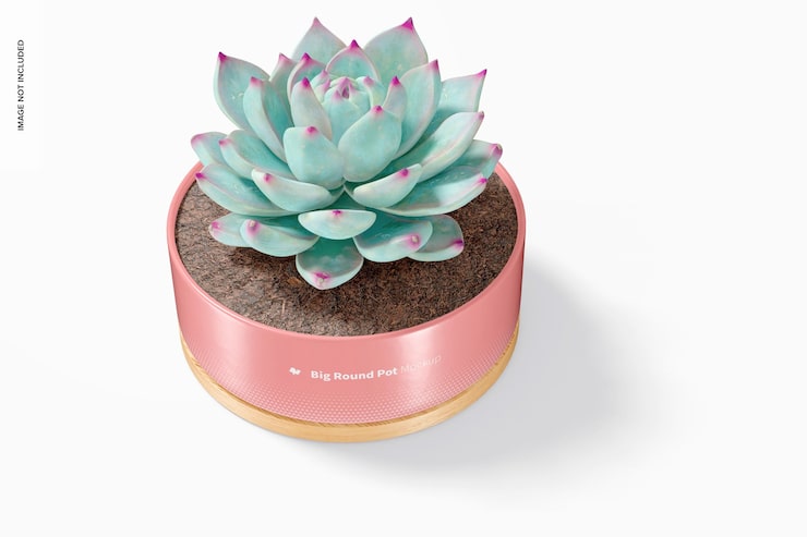 PSD grand pot rond avec maquette de plateau en bambou