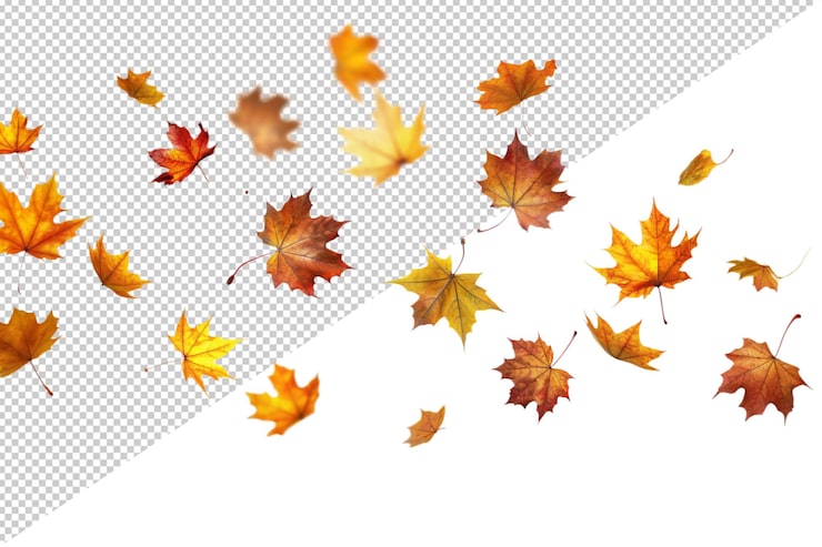PSD un groupe de feuilles d'automne tombe sur un fond blanc avec un motif de feuilles rouges et jaunes