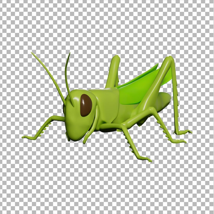 PSD ícone 3d de inseto