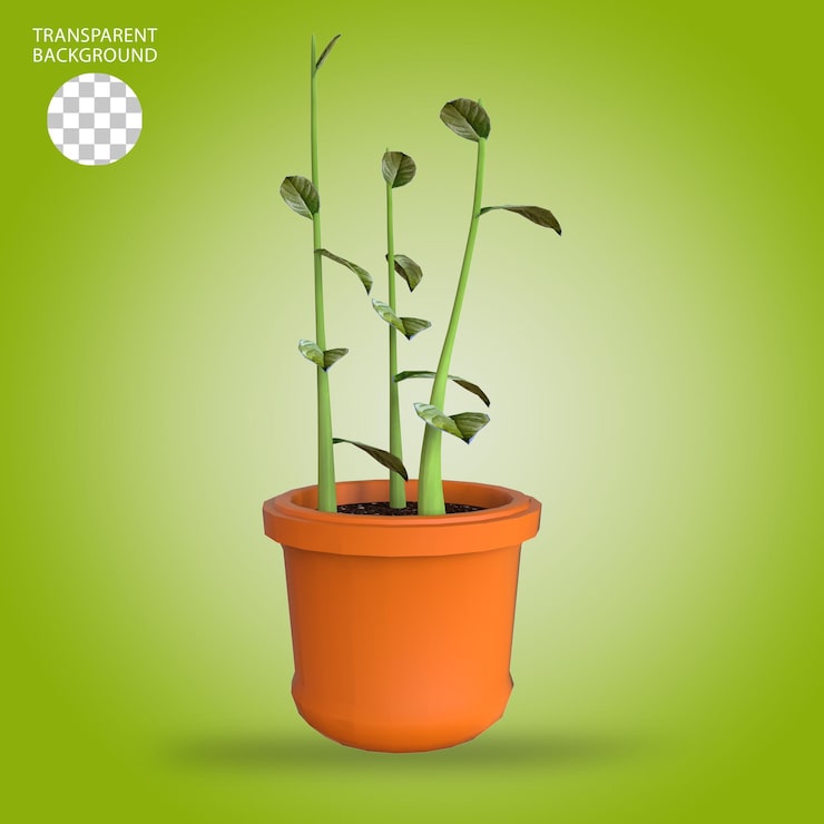 PSD ilustração 3d de crescimento de plantas isoladas