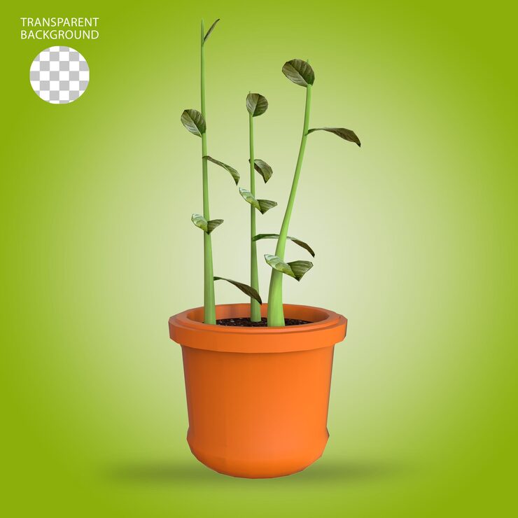 PSD ilustração 3d de crescimento de plantas isoladas
