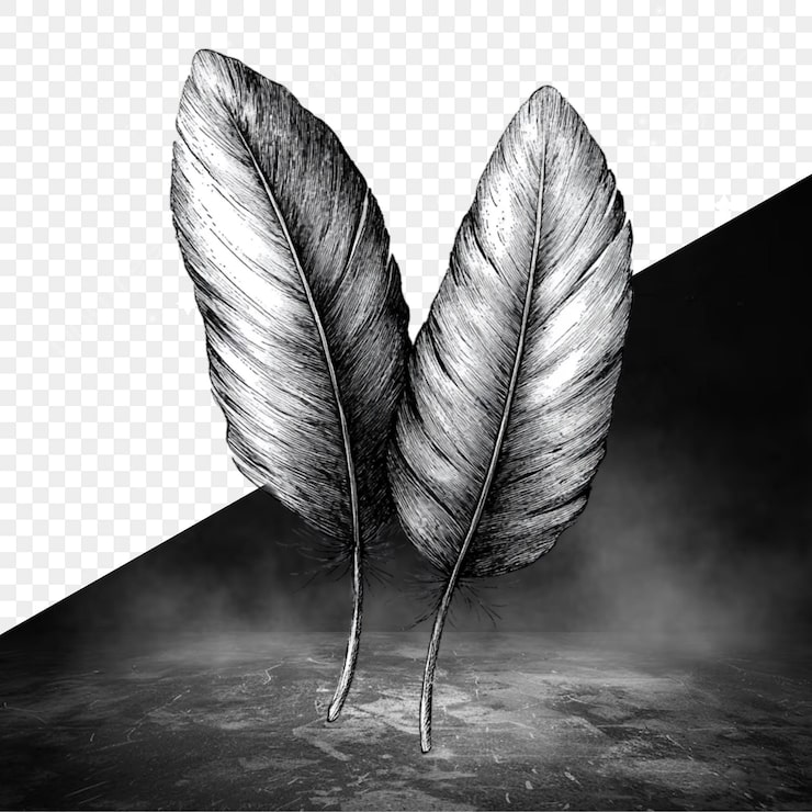 PSD una imagen en blanco y negro de una pluma en un fondo oscuro