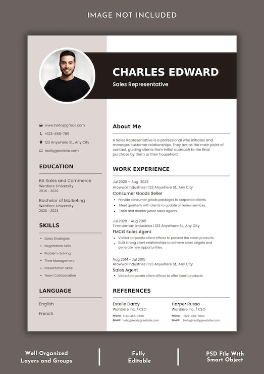 PSD un modèle de cv propre et professionnel