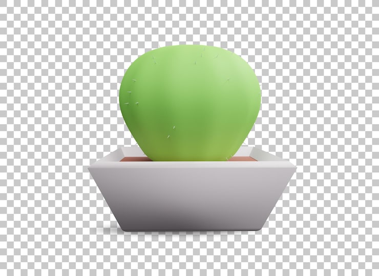 PSD plante de cactus dans le vase mignon 3d avec fond transparent