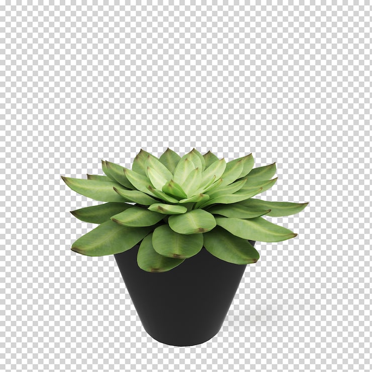 PSD plante isométrique en pot rendu 3d