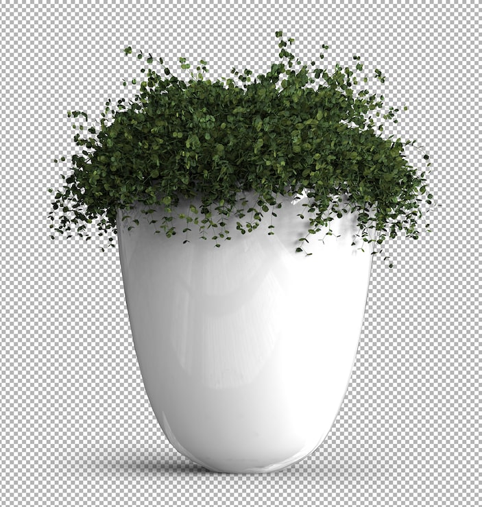 PSD render tanaman terisolasi. tampilan depan isometrik. 3d.