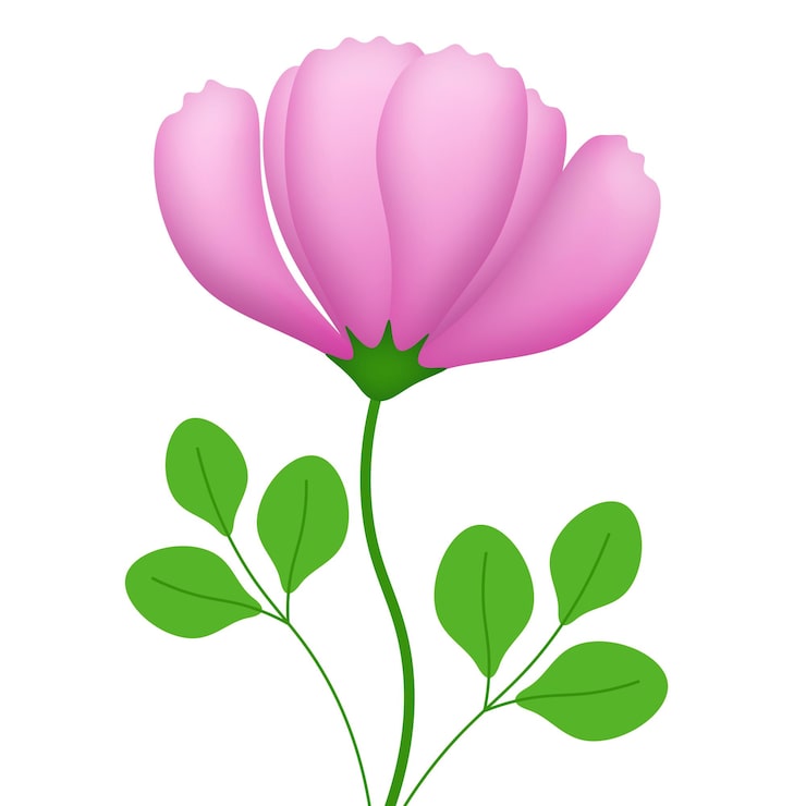 PSD rosa blume, bearbeitbar in einer psd-datei