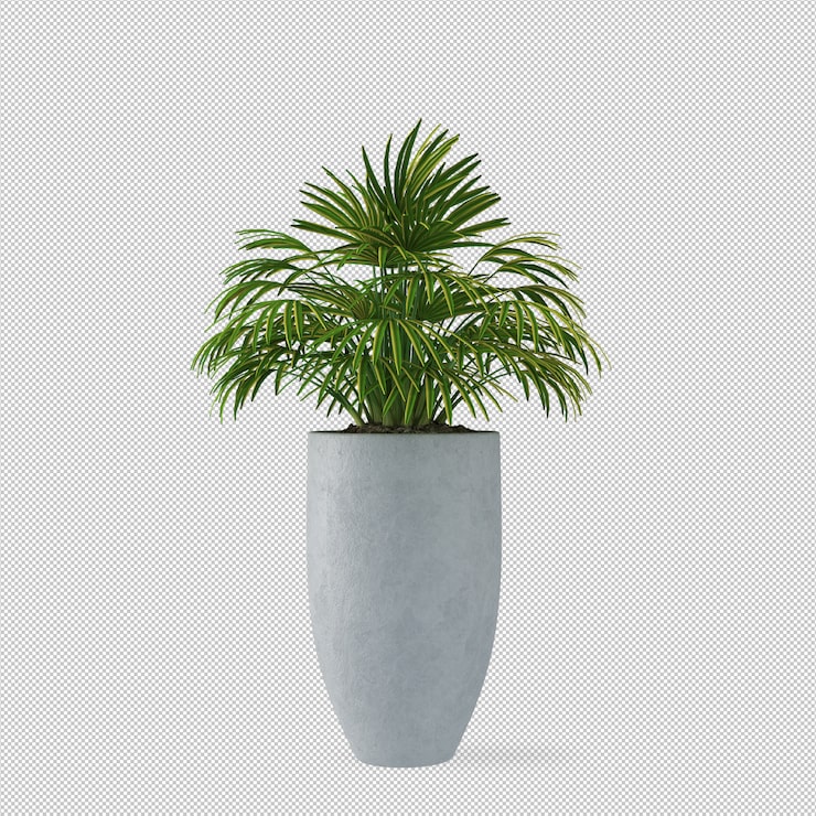 PSD tanaman dalam pot dalam render 3d
