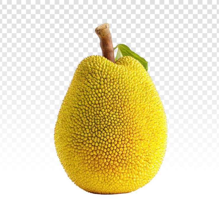 Ücretsiz PSD siyah arka plan üzerinde, belirgin pürüzlü kabuğu, sapı ve tek bir yeşil yaprağıyla bütün sarı jackfruit