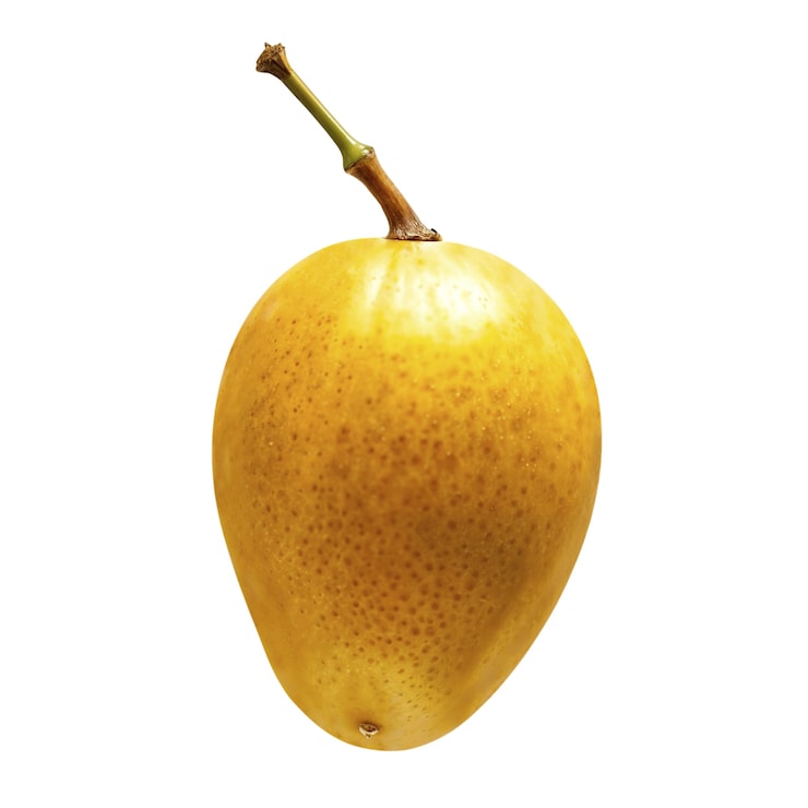 Ücretsiz PSD stüdyoda lezzetli mango