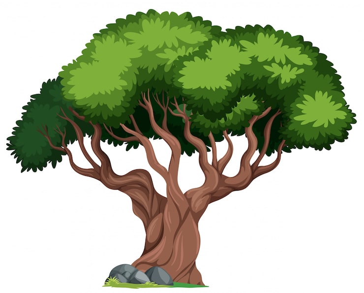 Vecteur gratuit un arbre isolé sur fond blanc
