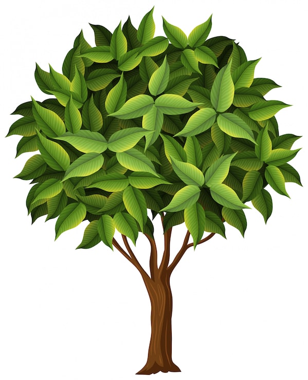 Vecteur gratuit un arbre naturel sur fond blanc