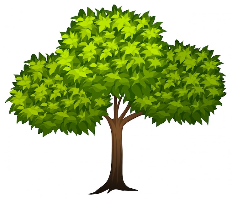 Vecteur gratuit un arbre vert