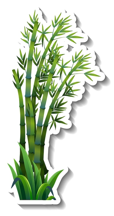 Vecteur gratuit autocollant arbre bambou sur blanc