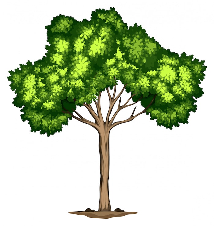 Vecteur gratuit une conception d'arbre sur fond blanc