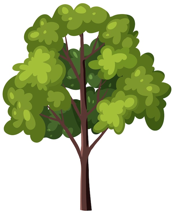 Vecteur gratuit illustration vectorielle d'arbre feuillu vert isolée sur fond blanc