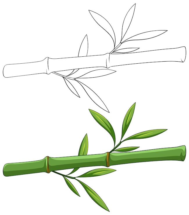 Vecteur gratuit illustration vectorielle de la branche de bambou