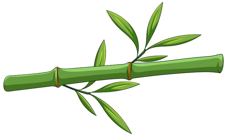 Vecteur gratuit illustration vectorielle du bambou vert