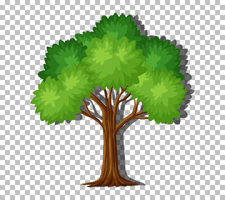 Vecteur gratuit seul arbre avec des feuilles vertes sur fond transparent