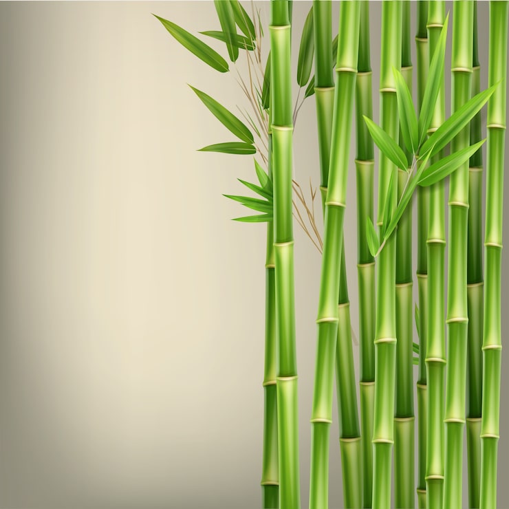 Vecteur gratuit tiges et feuilles de bambou vert de vecteur isolés sur fond beige avec espace de copie