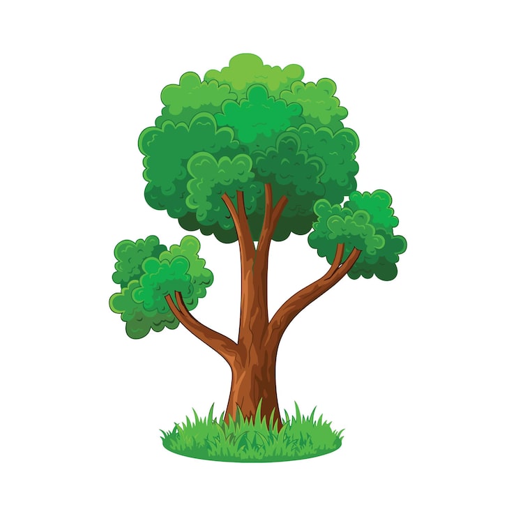 Vecteur divers vecteurs d'arbres concept de forêt et de nature collection de différents symboles d'arbres éducation et