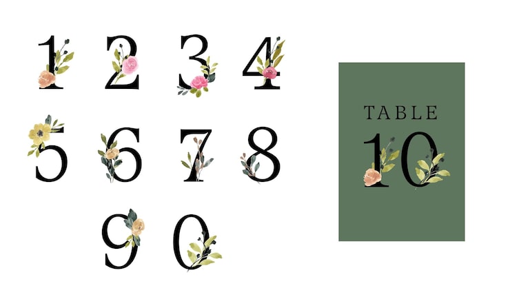 Vecteur numéro de logo esthétique avec aquarelle florale