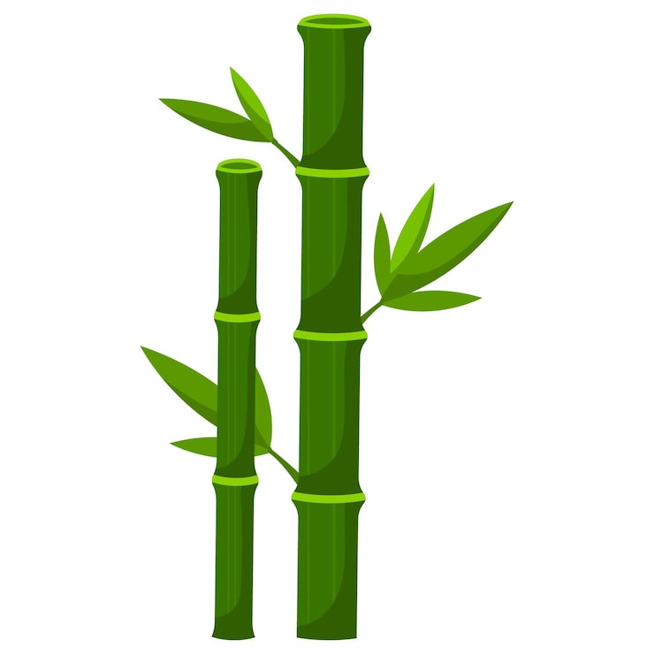 Vecteur la plante de bambou laisse la nature fraîche d'asie