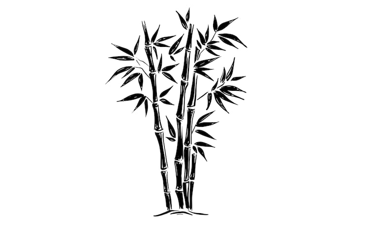 Vecteur une silhouette élégante en bambou noir