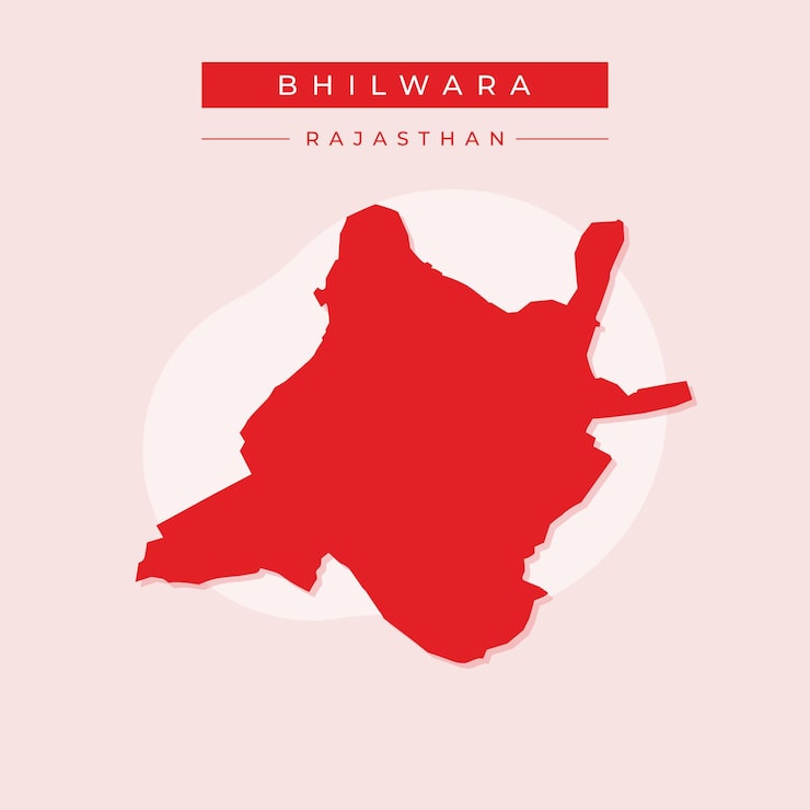 Vector bhilwara