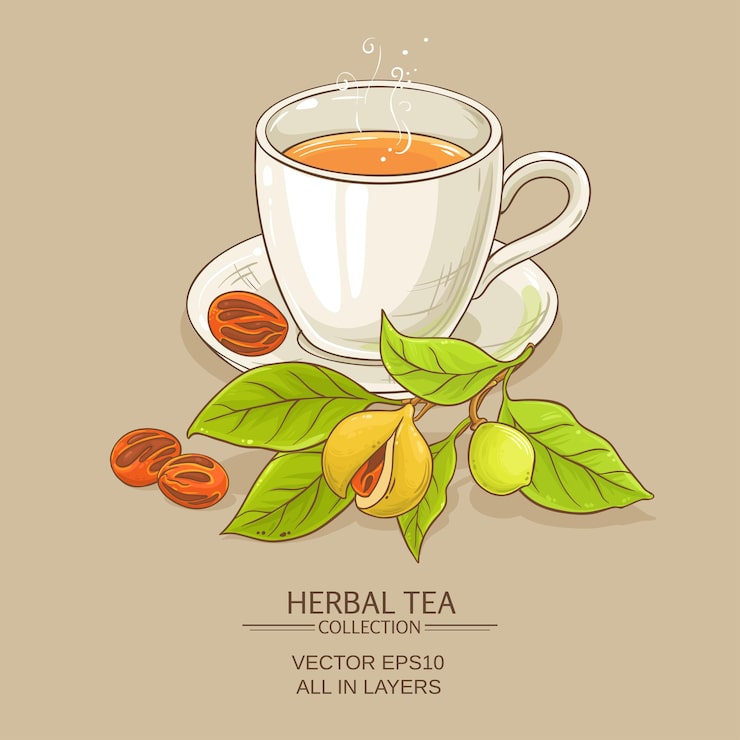 Vector cốc trà nhục đậu khấu