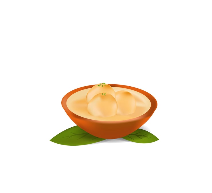 Vector rasmalai món tráng miệng truyền thống ngon miệng ở các nước nam á