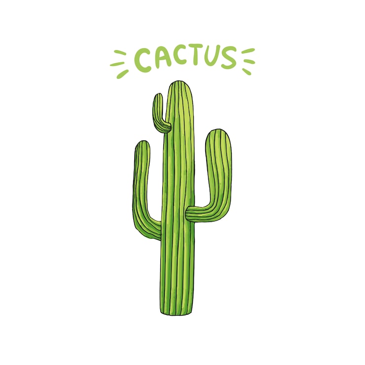 Vector gratuito cactus mexicano