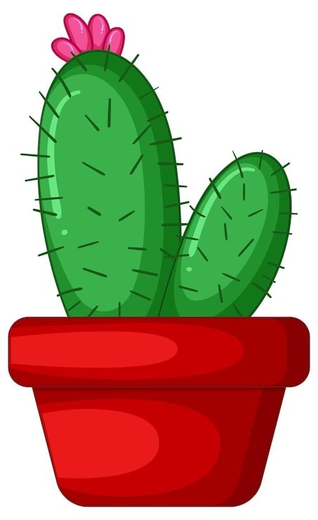 Vector gratuito cactus en una olla aislada