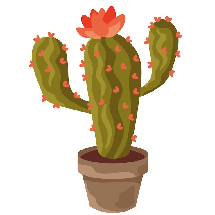 Vector gratuito cactus de peras espinosas frescas en olla
