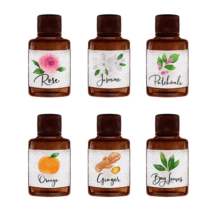 Vector gratuito colección de botellas de aceite esencial de acuarela