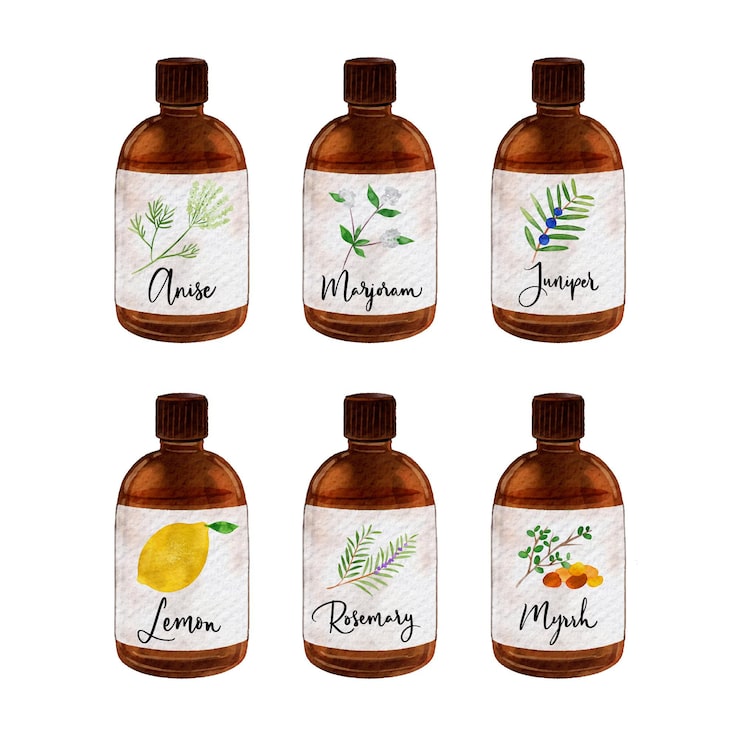 Vector gratuito colección de botellas de aceite esencial de acuarela