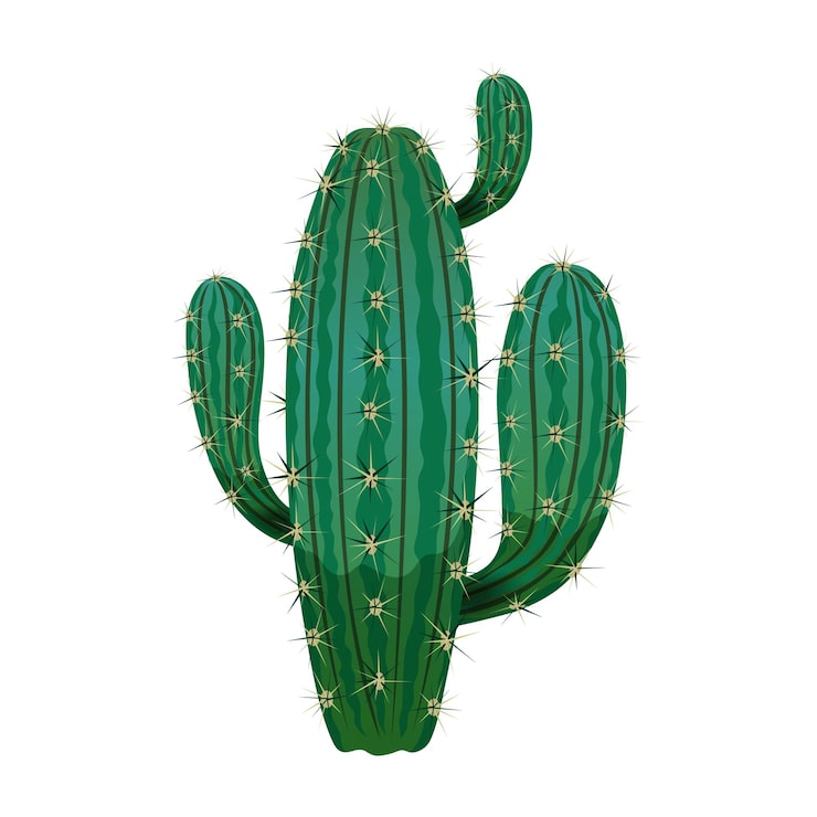 Vector gratuito composición de cacto con imagen aislada de cactus en blanco