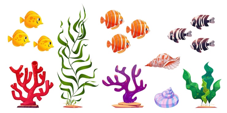 Vector gratuito conjunto de dibujos animados de corales de algas de peces exóticos