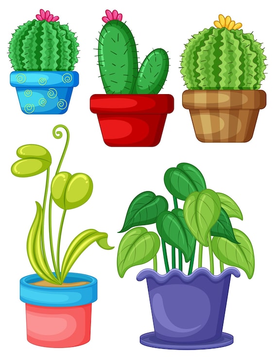 Vector gratuito conjunto de diferentes plantas en macetas.