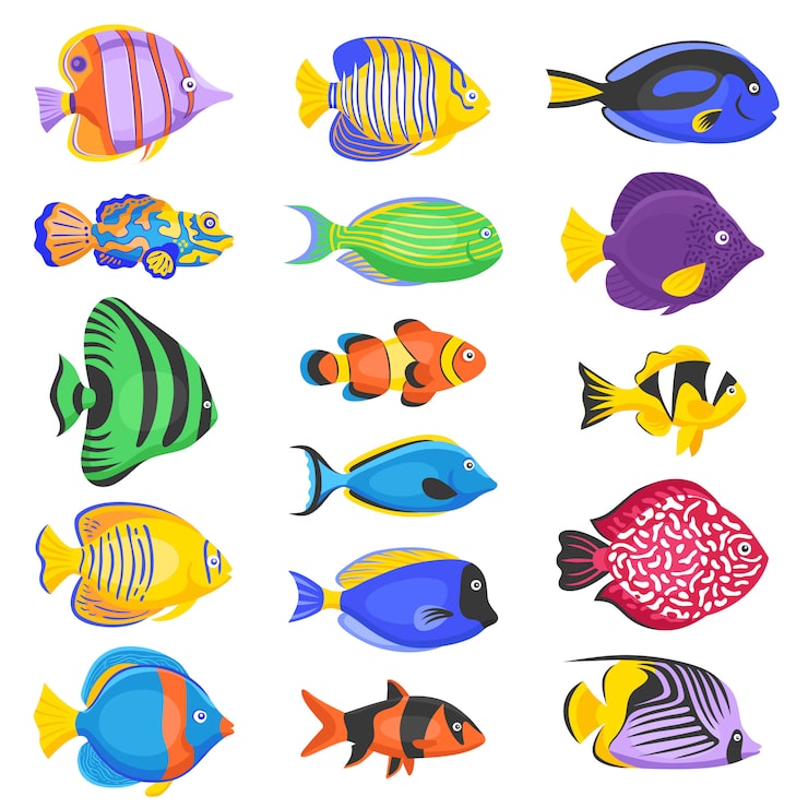 Vector gratuito conjunto de peces exóticos