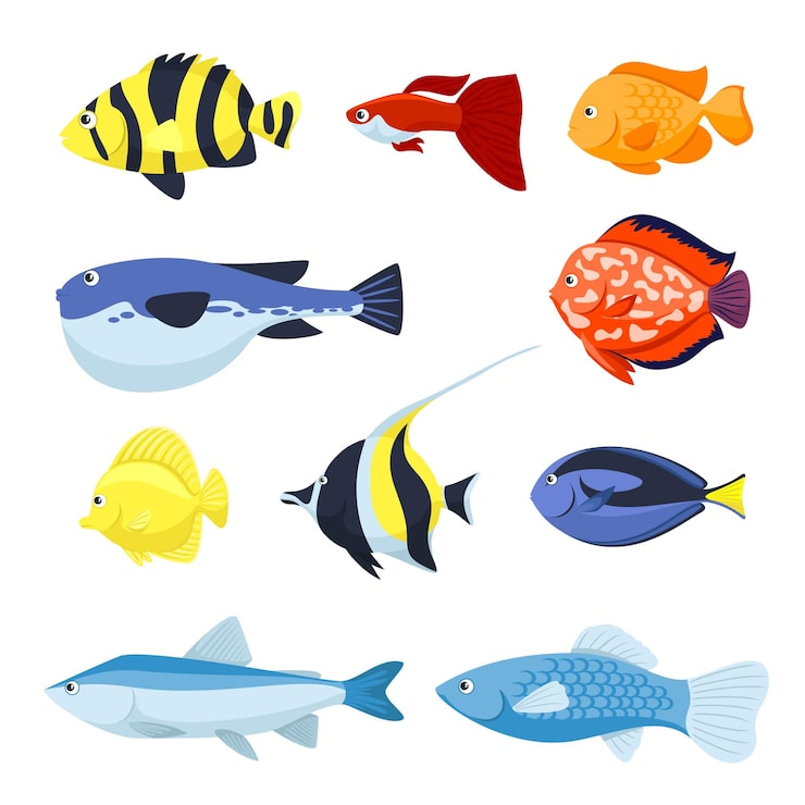 Vector gratuito conjunto de peces para ilustración de animales de acuario, mar y río