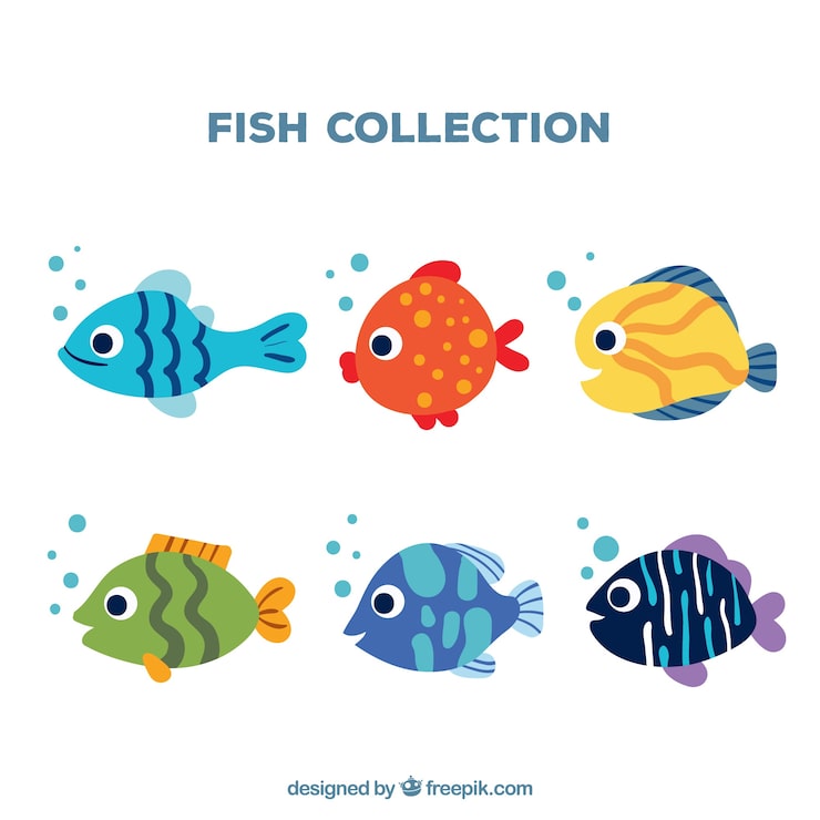 Vector gratuito conjunto de seis peces